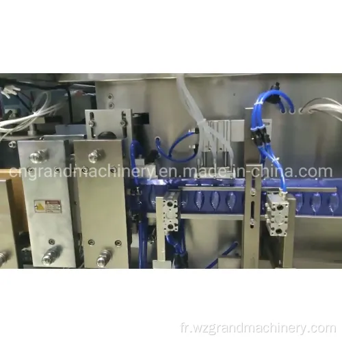 Machine de flacon de lotion de toner formant la machine d&#39;emballage GGS-240